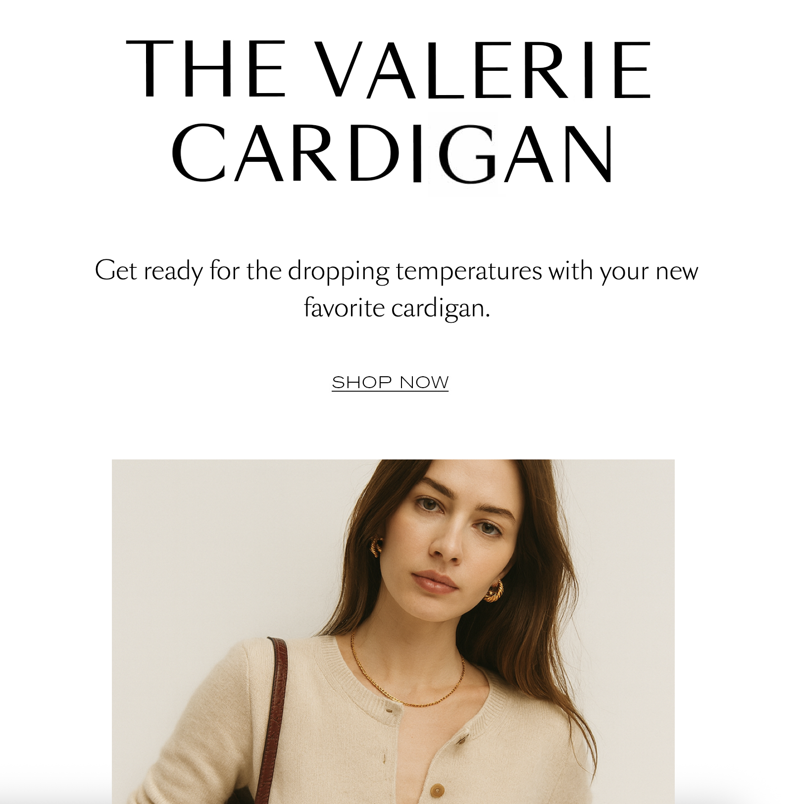 Product Recommendation_Campaign.png