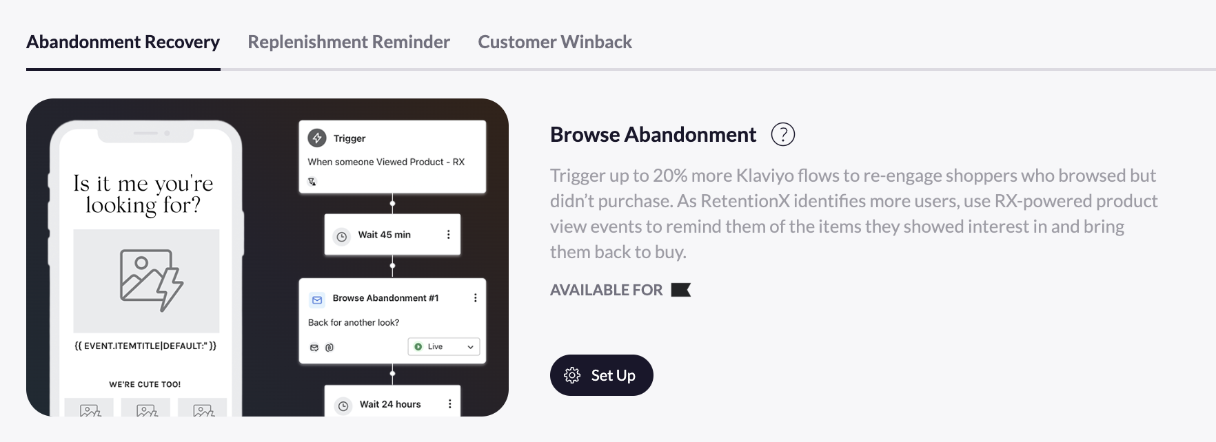 Browse Abandonment Setup.png