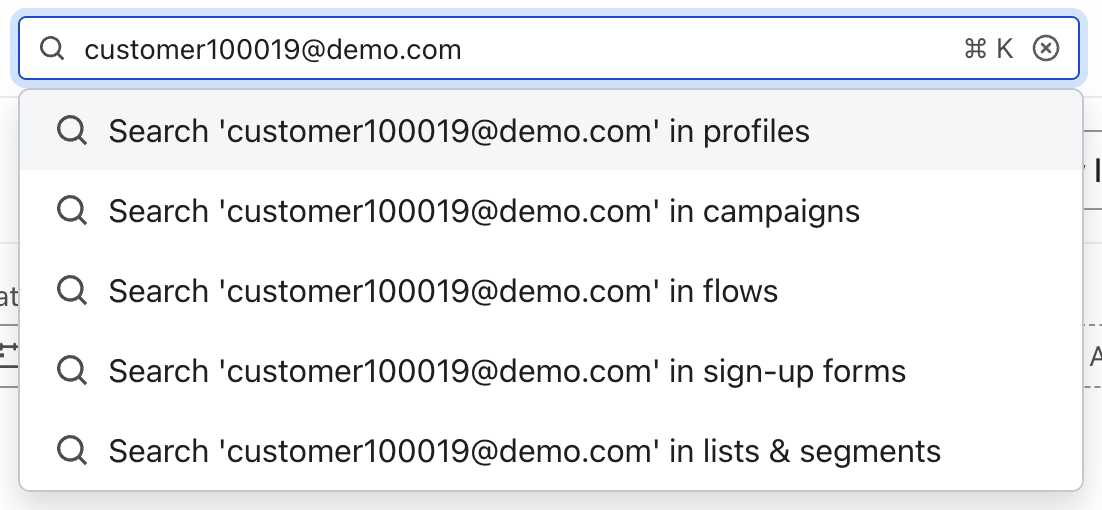 Klaviyo_Profile Search.png