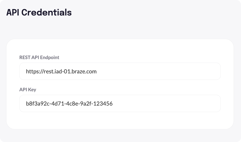 API Endpoint_Braze.png