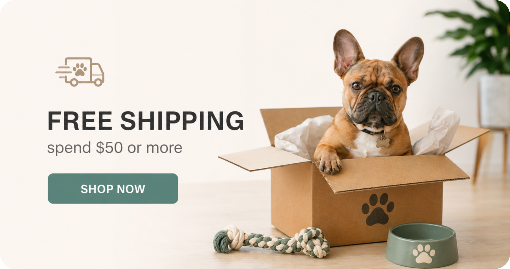 Free Shipping_Example.png