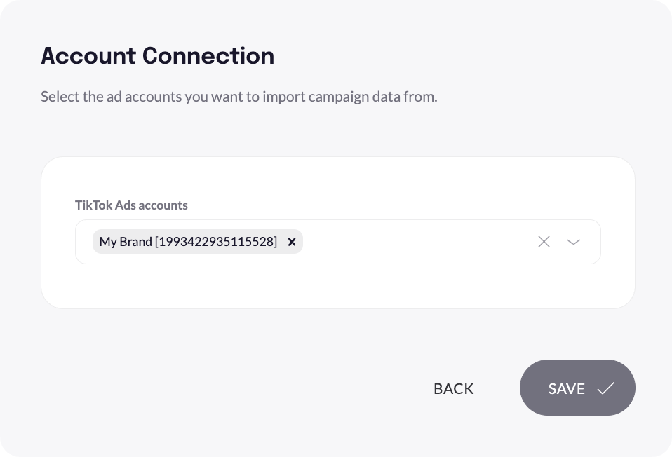 TikTok Ads_Account Connection.png