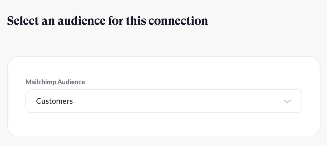 Mailchimp_Audience.png